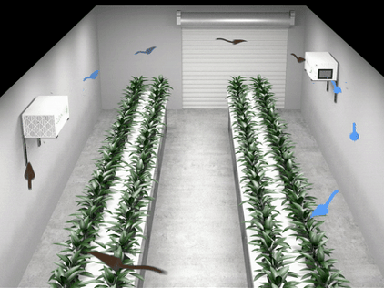 Filtered air moving through an indoor cultivation facility from one air filtration unit to another.