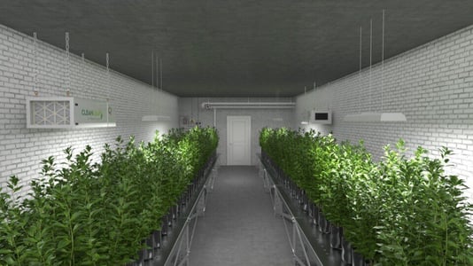 Ambient air filtration systems controlling mold, dust, and airborne particulate in a commercial indoor cultivation facility.