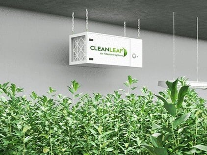 CleanLeaf HEPA air filtration system installed in an indoor grow room to provide surgical-grade air.