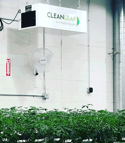 HEPA air filtration system installed in a plant cultivation facility to prevent mold and control airborne contaminants.