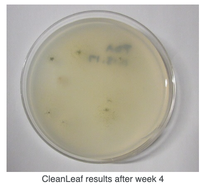 Screen Shot 2026-01-16 at 2.38.26 PM