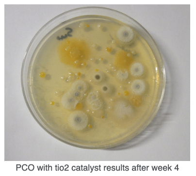 Screen Shot 2026-01-16 at 2.38.36 PM