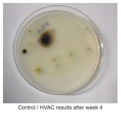 Screen Shot 2026-01-16 at 2.38.45 PM