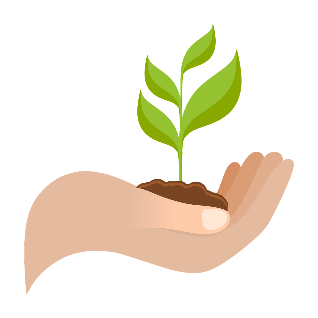 Hand holding a healthy plant to symbolize crop health, mold prevention, and professional horticulture cultivation.