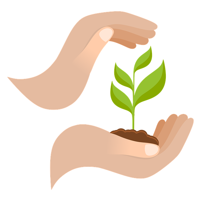 Healthy plant supported by hands, symbolizing plant protection through air filtration.