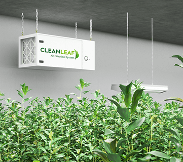 CleanLeaf air cleaner hanging in indoor growing environment for mold and pest prevention.